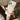 6e96a1529cc58da4ba6f1b71164583e0